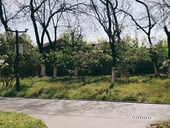 -宣武艺园