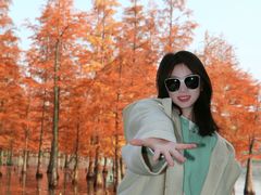 -白鹭湾湿地公园