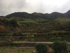 -塔川景区