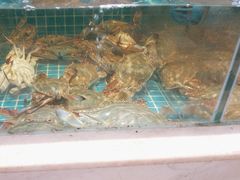 -妈妈菜舟山海鲜(定海古城店)