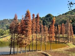 -国恩寺