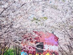 -新天地活力PARK