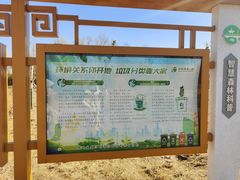 -东郊湿地公园