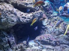 -成都浩海立方海洋公园