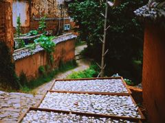 -杨家堂村