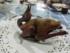 -石岐乳鸽村(南海第三分店)