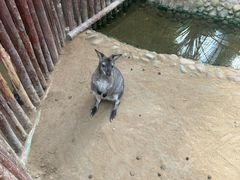 -呀路古热带植物园