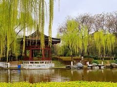 -西安青龙寺遗址景区