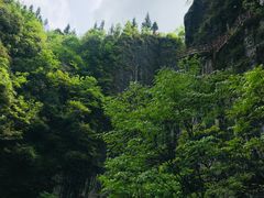 -鹿院坪生态旅游景区