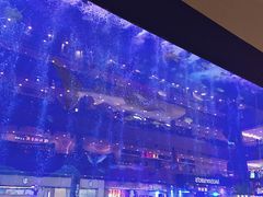 -成都浩海立方海洋公园