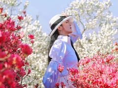-木兰云雾山