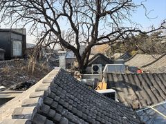 -四喜小胖·北京涮肉(五道营店)