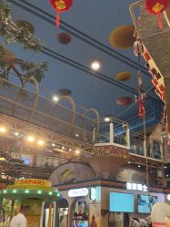 -卡通尼·Safari非洲探索乐园·生日会(金桥国际商业广场店)