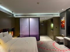 -南京禄口机场雅高铂尔曼大酒店