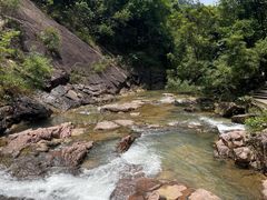 -广州白江湖森林公园