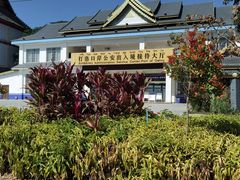 -打洛口岸