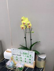 -杭州米兰柏羽医疗美容医院