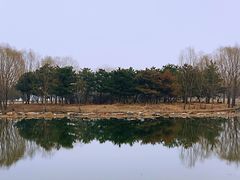 -大兴滨河森林公园