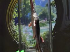-中国湿地博物馆