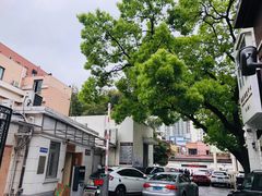 -上海市眼病防治中心(康定路院区)