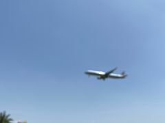 -空港花田景区