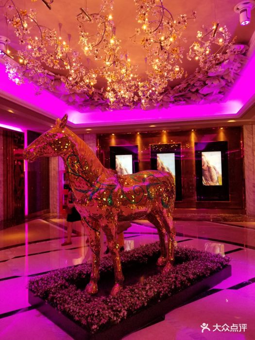 纯k(打浦桥店)-图片-上海k歌-大众点评网