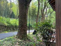 -东明山森林公园