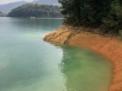 -广州市流溪河国家森林公园