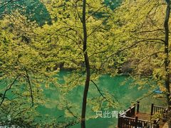 -青龙山国家森林公园