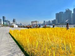 -北外滩滨江绿地