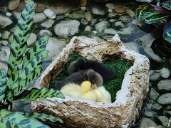 -赛格国际购物中心(小寨店)