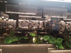 -新辣道鱼火锅(航天万源店)