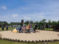 -上海长兴岛郊野公园