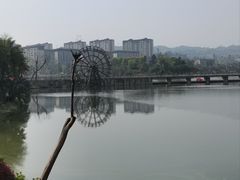 -枫香湖儿童公园