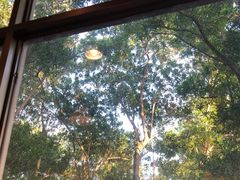 -顺风山庄(水濂山店)