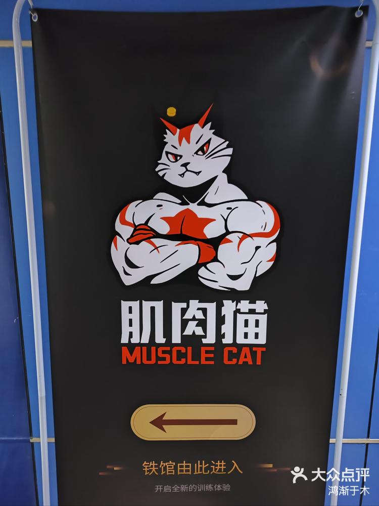 肌肉猫铁馆超强力量