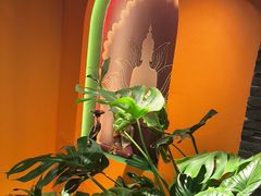 -泰古龙抓龙筋·spa按摩(静安店)