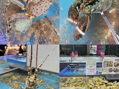 -城西优品道广场
