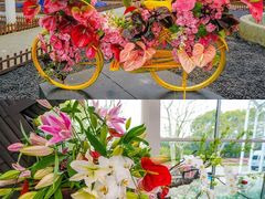 -上海鲜花港