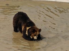 -青藏高原野生动物园