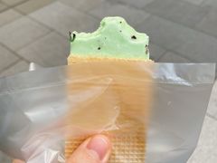 -詹爷爷乌节路街头冰淇淋