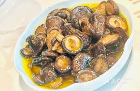 Lucky Money Mushroom