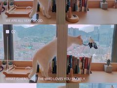 -猫小主咖啡·猫咖cat cafe(福田店)