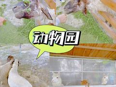 -盈香心动乐园