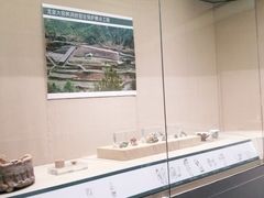 -龙泉青瓷博物馆