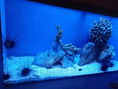 -上海海洋水族馆