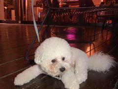 -The Rug Cafe(王府中环店)