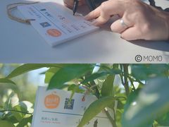 -前小桔亲子创意农场·草莓采摘·露营烧烤