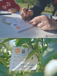 点击看大图 -前小桔亲子创意农场·草莓采摘·露营烧烤