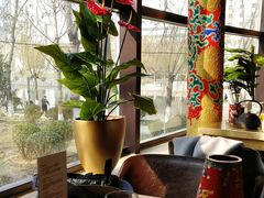 -羊大爷涮肉(亮马桥店)